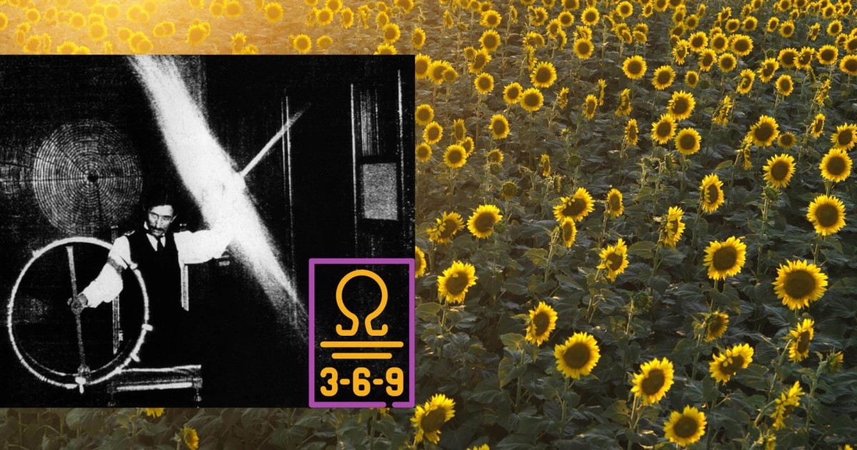 Sblocca l'energia universale e ottieni abbondanza e prosperità con la tecnica 3-6-9